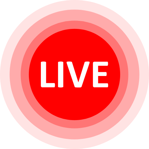 Adult Cam To Cam Roulette